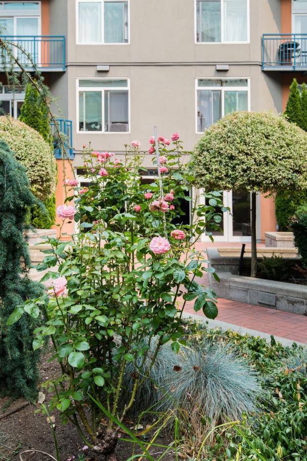 City Water View Oasis With Pool & Gym Near Cruise In Heart Of Сиатъл Екстериор снимка
